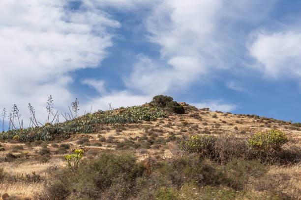 istock upstate fuerteventura 1065119594