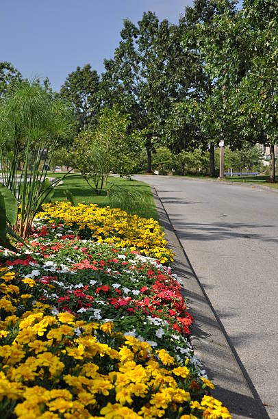 istock Nature scene in the park 106511966