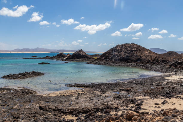 istock fuerteventura beach 1065120296