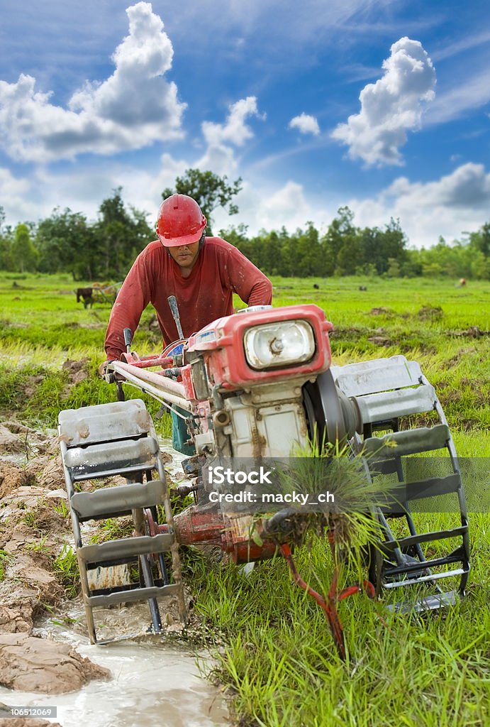 Ciężko pracującego asian farmer - Zbiór zdjęć royalty-free (Azja)