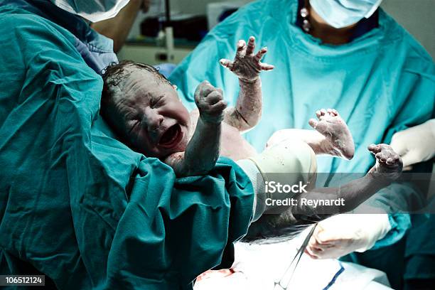 담담의 쥠 새로운 Born 출산에 대한 스톡 사진 및 기타 이미지 - 출산, 분만, 새생명