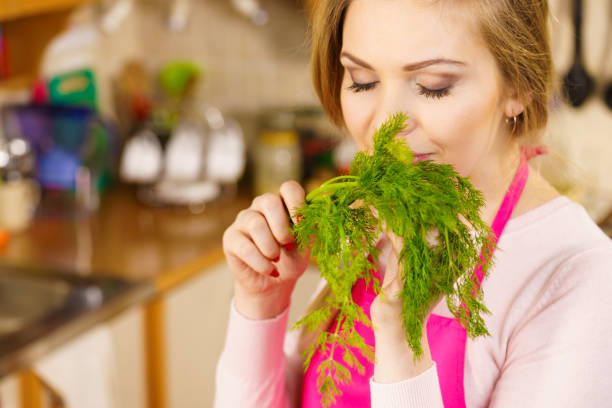 istock Young woman holding dill herb 1065122524