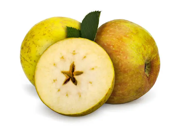 An old cultivar of domesticated apple originating from France, This is a delicious dessert apple, with a pleasant mild dry flavour.