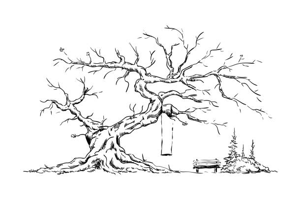 illustrations, cliparts, dessins animés et icônes de grand arbre ancienne - grass nature dry tall