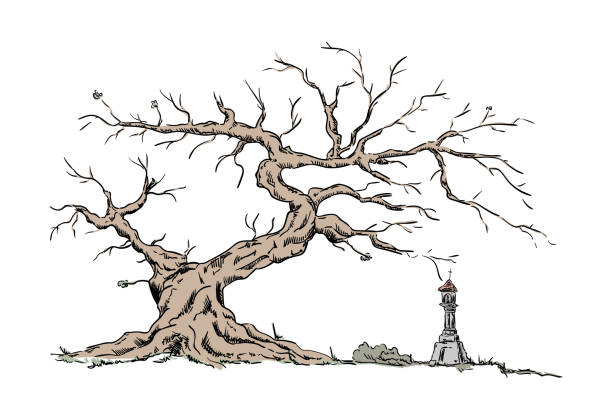 illustrations, cliparts, dessins animés et icônes de grand arbre ancienne et la chapelle - grass nature dry tall