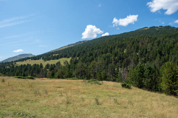 istock Mountains in the Pyrenees through the valley of Aran 1065128840