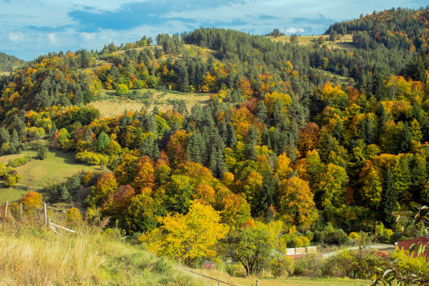 istock Autumn landscape in the Rhodope mountain. 1065131384