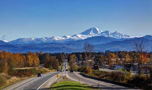 Fall colours on sides of road to Mt. Baker