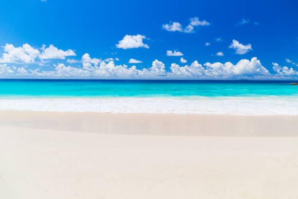 istock Amazing tropical beach on Seychelles 1065138428