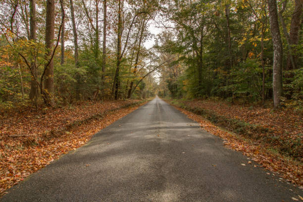 istock Virginia country road 1065139220
