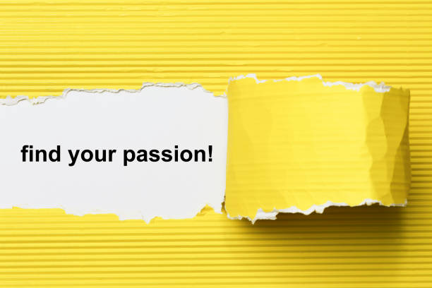 istock find your purpose text on paper. Word find your purpose on torn paper. Concept Image. 1065143820