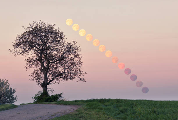 istock Full moon rising over beautiful countryside landscape 1065147272