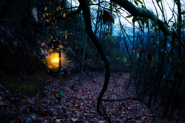 istock Vintage old burning yellow lantern at dark moody forest 1065148670