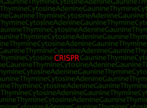 CRISPR DNA concept CRISPR (Clustered Regularly Interspaced Short Palindromic Repeats) text in red,  a DNA gene editing method crispr photos stock pictures, royalty-free photos & images