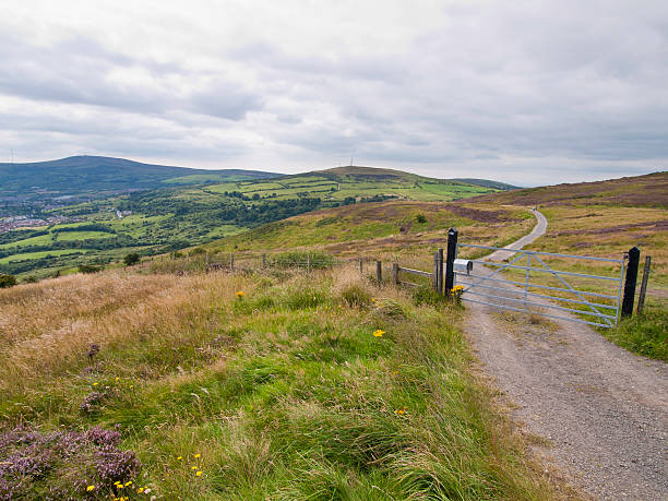 istock Northern Ireland landscape 106515076