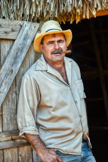 istock The Godfather of Cigars 1065154308