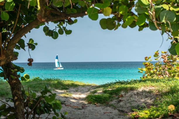 spiaggia caraibica - varadero beach foto e immagini stock