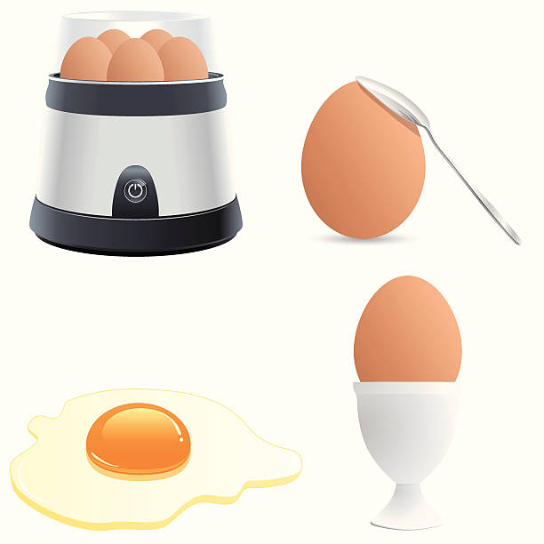 egg icon set vector art illustration