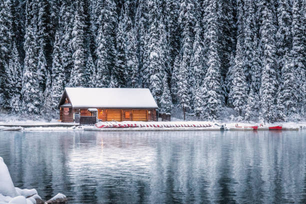 parque nacional de banff - lake louise national park landscape forest - fotografias e filmes do acervo