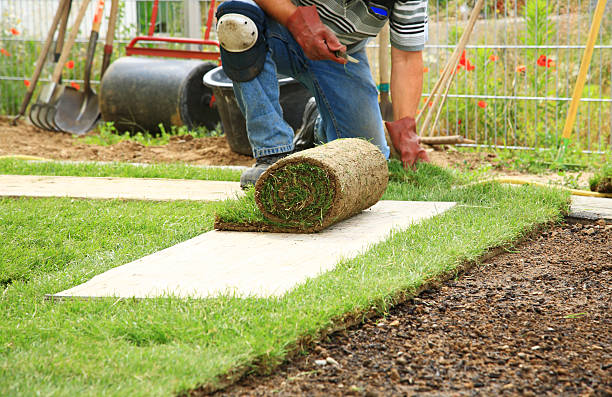 istock Man laying down roll of sod for new lawn 106516349