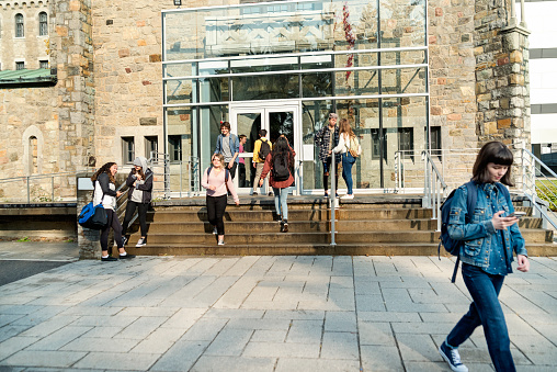 Medium group of multi-ethnic students going in and out of University-College entrance. Some are sitting and standing on a small staircase on a sunny day. Horizontal full length shot with copy space.