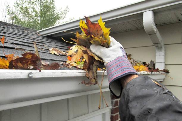Nature, " Clearing Autumn Leaves from Gutters " stock photo