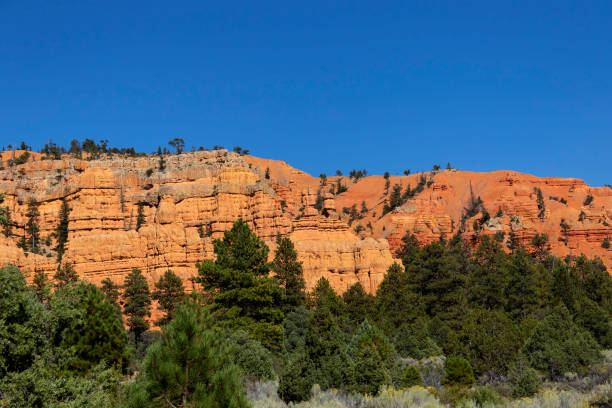 istock Red canyon, laik nowhere else on earth, beautiful national park in Utah 1065167322