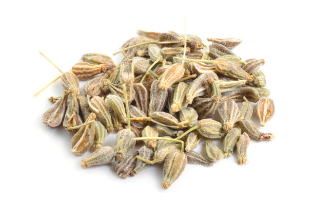 istock Anise, also called aniseed or Pimpinella anisum. Isolated on whi 1065169792