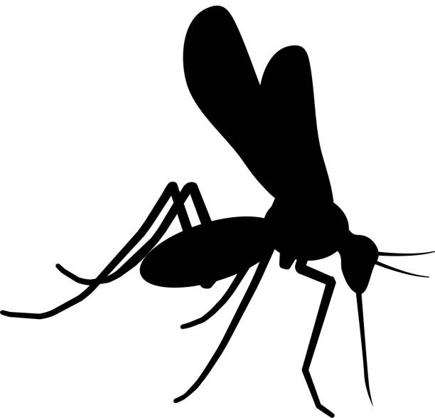 Mosquito Icon with Long Shadow vector art illustration