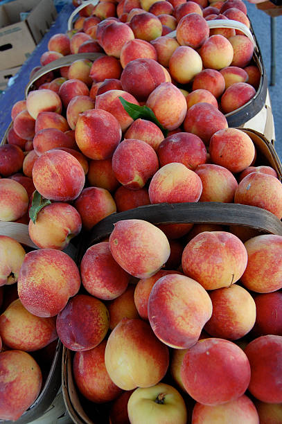 Fresh peaches stock photo