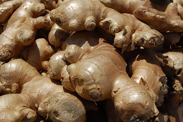 fresh ginger stock photo