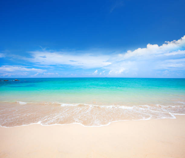 istock beach and beautiful tropical sea 1065178970