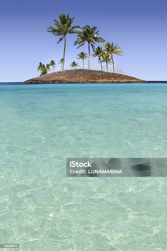 O paraíso de palmeiras ilha tropical praia turquesa - Foto de stock de Assunto royalty-free