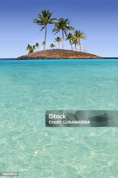 Foto de O Paraíso De Palmeiras Ilha Tropical Praia Turquesa e mais fotos de stock de Assunto