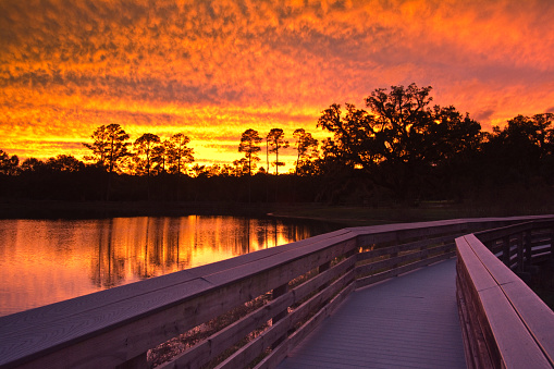 Tallahassee Florida- Boardwalk at Sunset