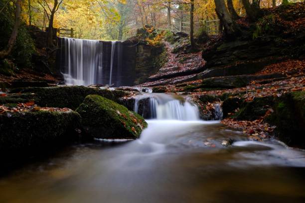 istock The River Clywedog and Big Wood 1065192204
