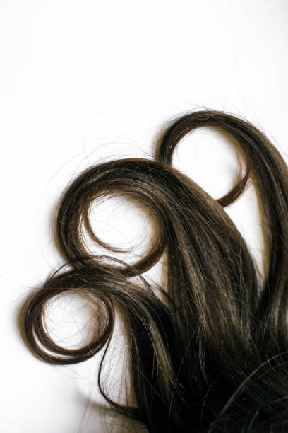 긴 머리와 기지에 곱슬 갈색 머리 - human hair curled up hair extension isolated 뉴스 사진 이미지