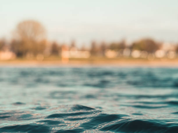 small waves on the rhine river with opposite shore blurry in background - ripple nature water close to imagens e fotografias de stock