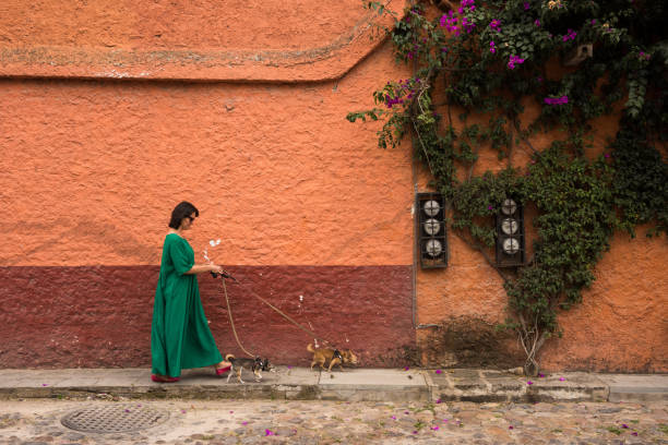 istock Street scene in San Miguel, Mexico 1065206538