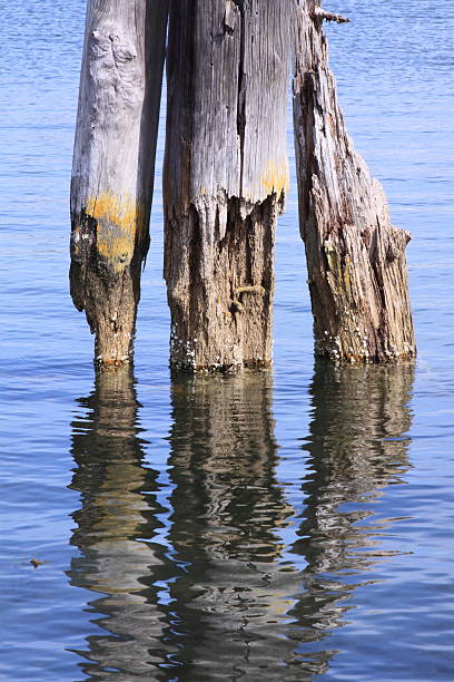 cool reflections stock photo