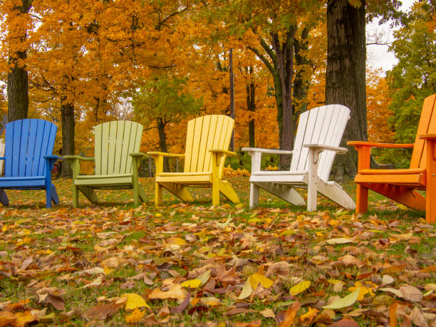 istock Row of colorful adirondack chairs 1065223176
