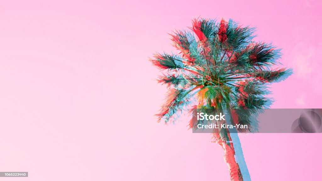 One palm tree on pink sky background One palm tree on pink sky background. The bottom view, sun glare. Pop art color. Backgrounds Stock Photo