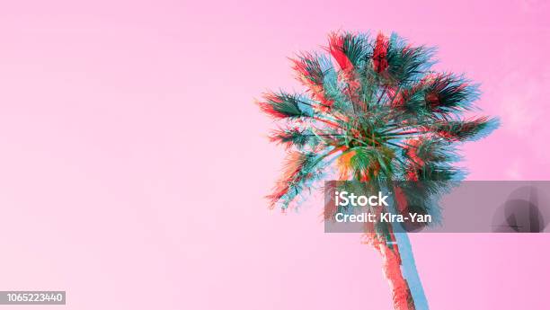 One Palm Tree On Pink Sky Background Stock Photo - Download Image Now - Backgrounds, Summer, Palm Tree