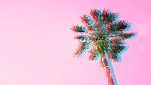One palm tree on pink sky background. The bottom view, sun glare. Pop art color.