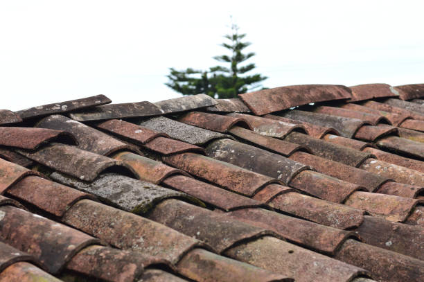 istock moldy roof tiles with sky and tree background 1065225338