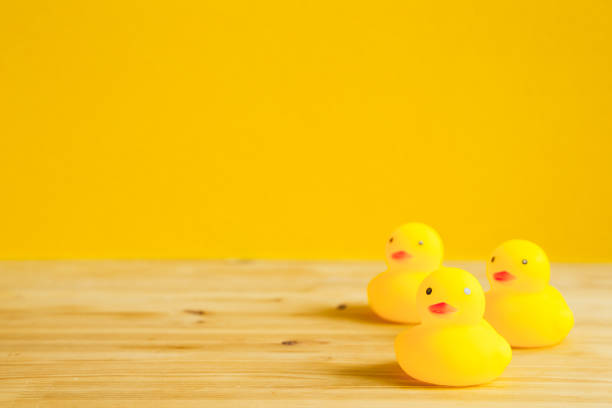 istock Yellow rubber duck doll on wooden table 1065231302