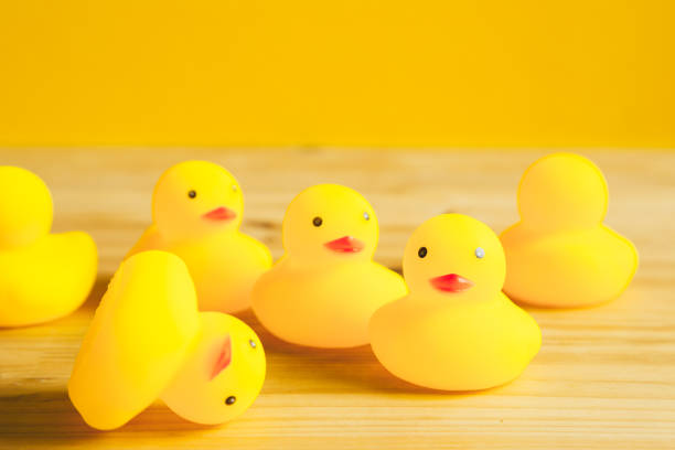 istock Yellow rubber duck doll on wooden table 1065231328