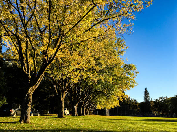 istock Beautiful autumn color in a sunny day 1065234092