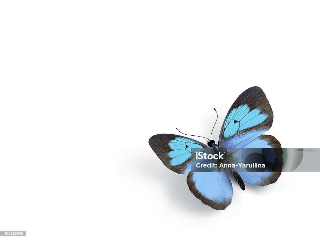 Butterfly - 3d Ilustracja na białym tle. - Zbiór zdjęć royalty-free (Motyl)