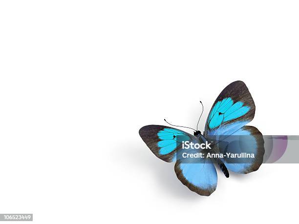 Бабочка 3d Визуализация Иллюстрация На Белом Фоне — стоковые фотографии и другие картинки Бабочка